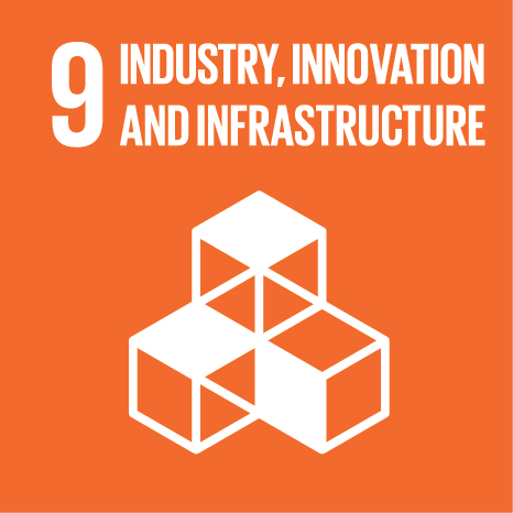 SDG 1 – No Poverty