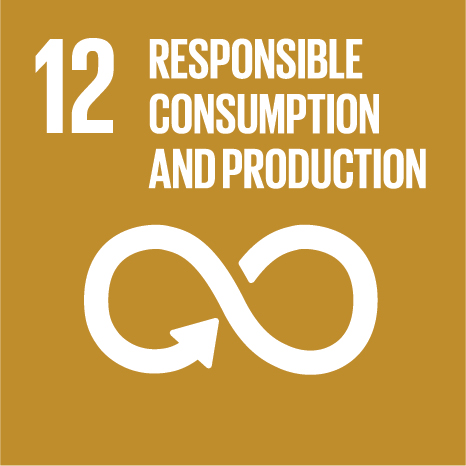 SDG 1 – No Poverty