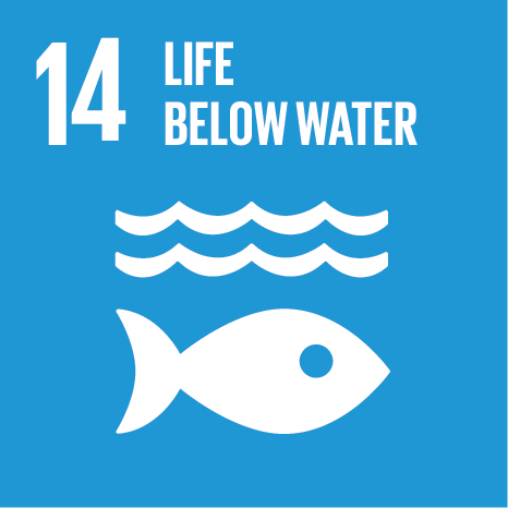 SDG 1 – No Poverty
