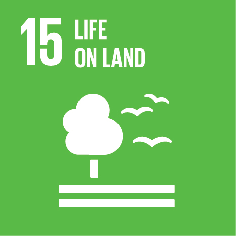 SDG 1 – No Poverty